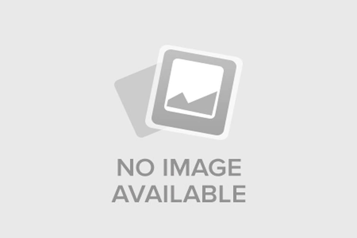 Бэт-семейка